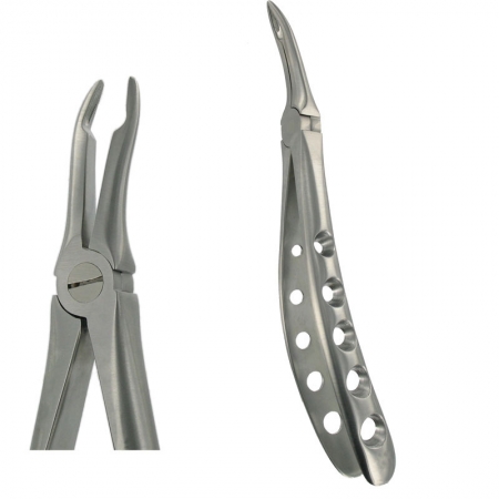 American Pattern Forceps