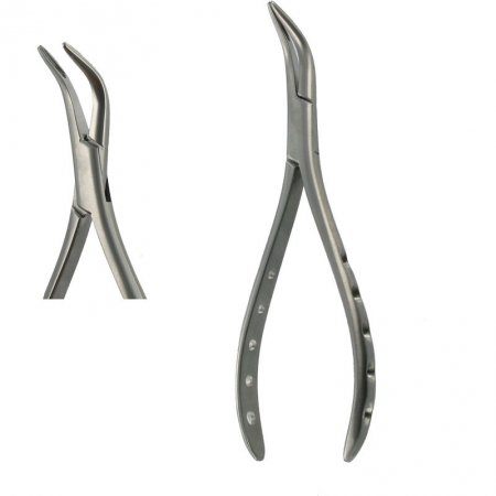 American Pattern Forceps