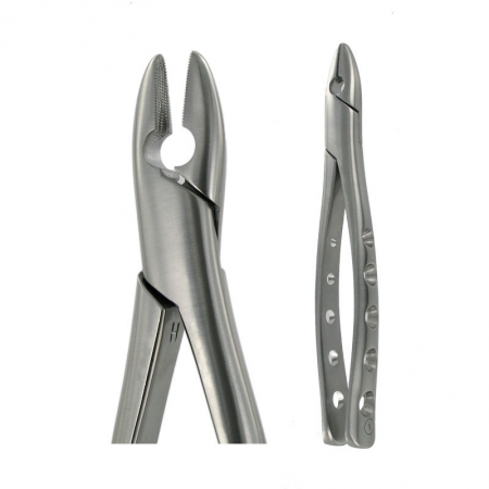 American Pattern Forceps