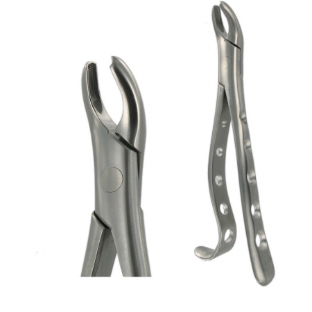 American Pattern Forceps