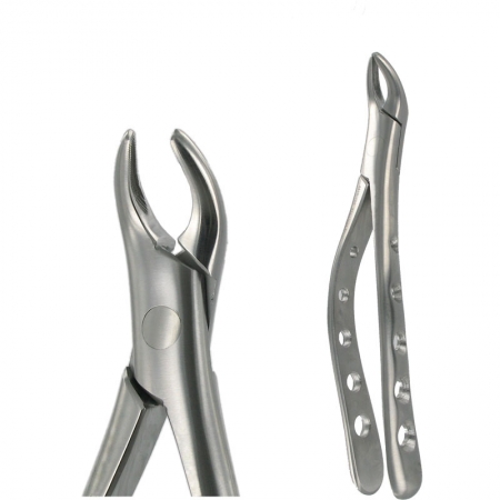 American Pattern Forceps