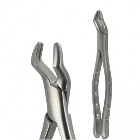 American Pattern Forceps