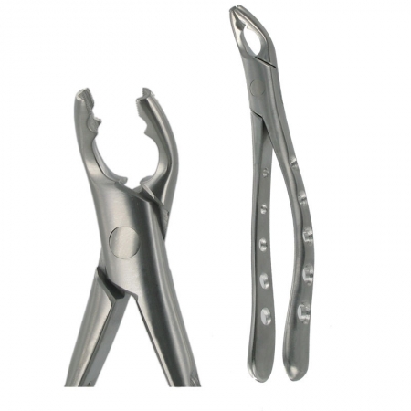 American Pattern Forceps