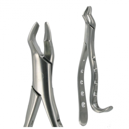 American Pattern Forceps