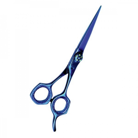 Professional Hair Cutting Scissors