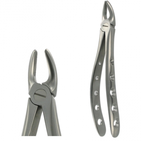 American Pattern Forceps