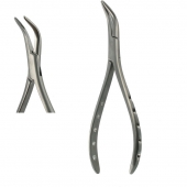 American Pattern Forceps