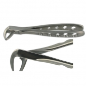 ENGLISH FORCEPS 74N LOWER INCISOR