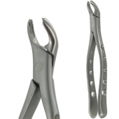 American Pattern Forceps