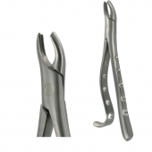 American Pattern Forceps