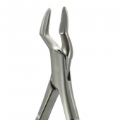 American Pattern Forceps