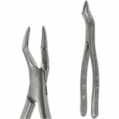 American Pattern Forceps