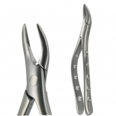 American Pattern Forceps