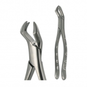 American Pattern Forceps