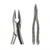 American Pattern Forceps