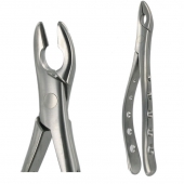 American Pattern Forceps