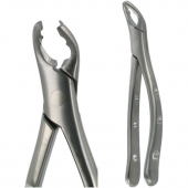 American Pattern Forceps