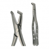 American Pattern Forceps