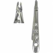 Wisdom Teeth Extracting Forceps