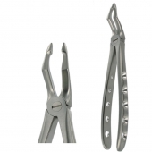 American Pattern Forceps